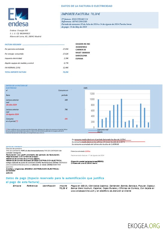 ESPAGNE ENDESA facture de services publics pour les entreprises Modèle Word et PDF pages1